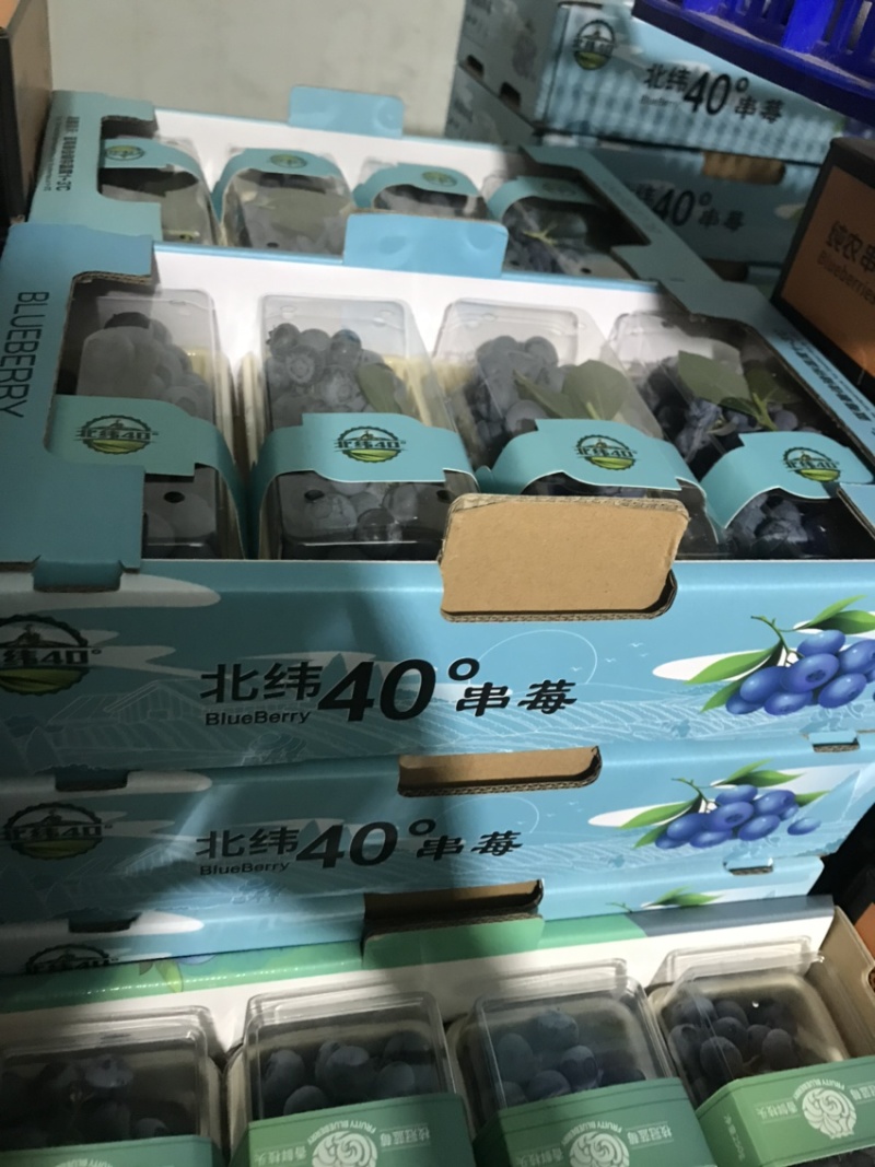 蓝莓熟了，蓝莓熟了