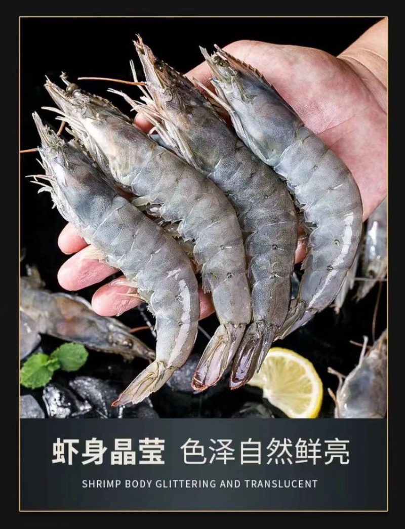 厄瓜多尔白虾盐冻虾青岛大虾基围虾3040欢迎进店咨询选购