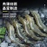 厄瓜多尔白虾盐冻虾青岛大虾基围虾3040欢迎进店咨询选购