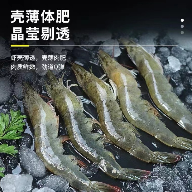 厄瓜多尔白虾盐冻虾青岛大虾基围虾3040欢迎进店咨询选购