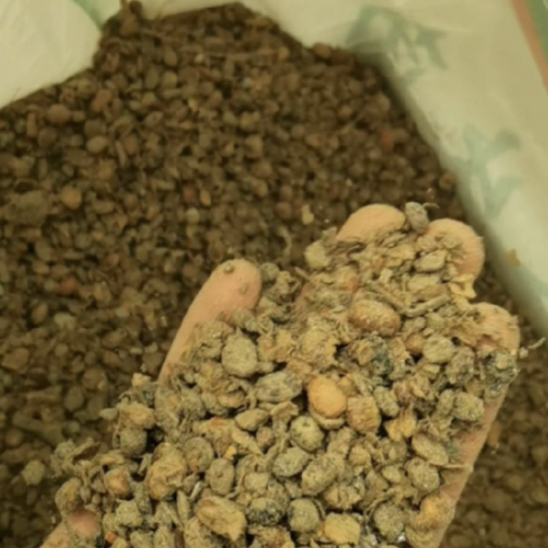 腐熟大豆菌肥菌肥高温腐熟10亿菌/克大豆有机发酵大