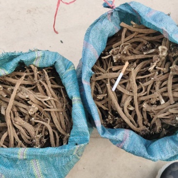续断根续断干货中药材一手货源货源充足