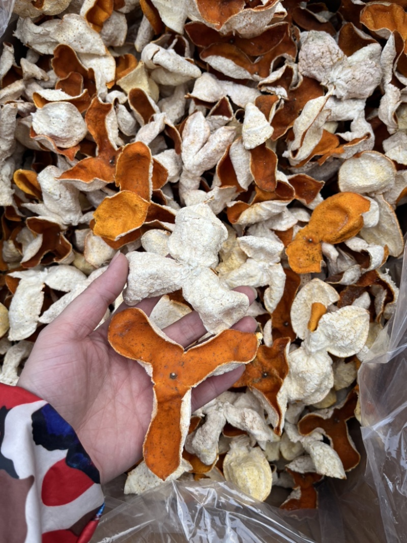 陈皮果皮2023年新货大红皮色泽好三花大红皮