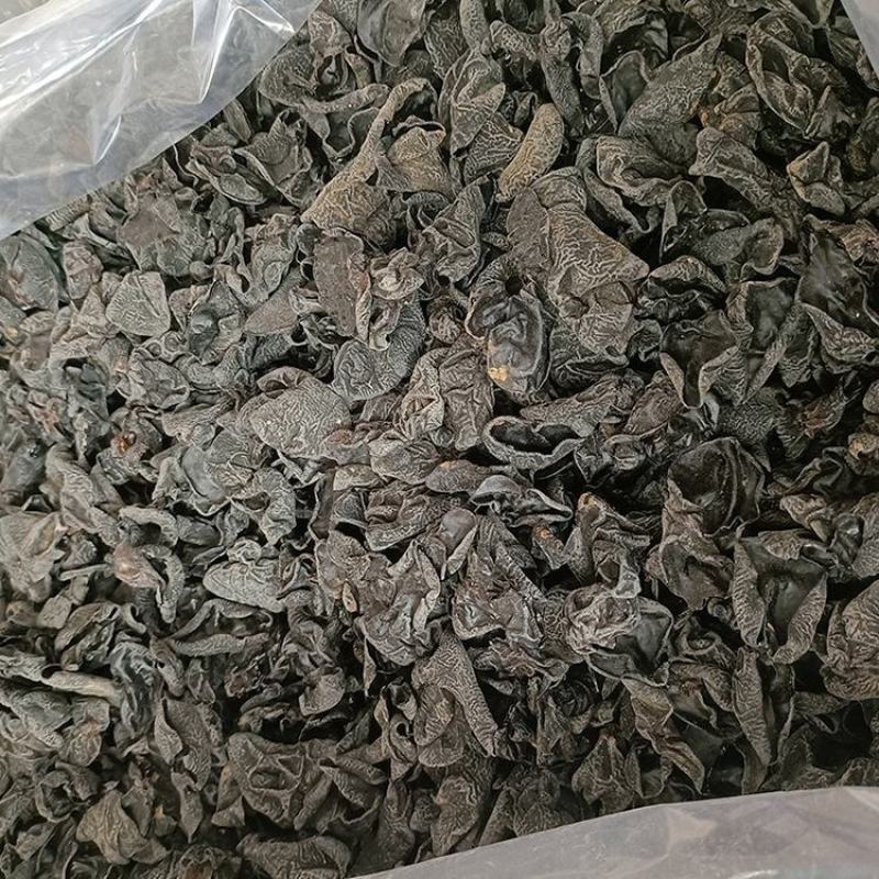 东北黑木耳产地货源批发地摊跑江湖农产品散装干货秋木耳小黑