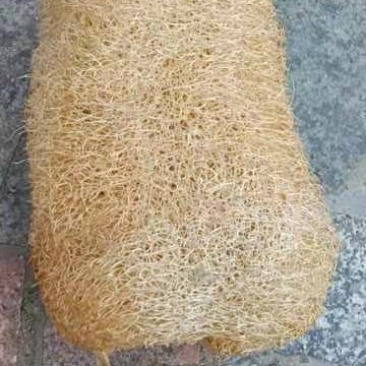 丝瓜络供应