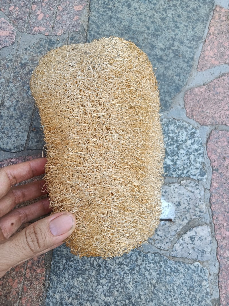 丝瓜络供应