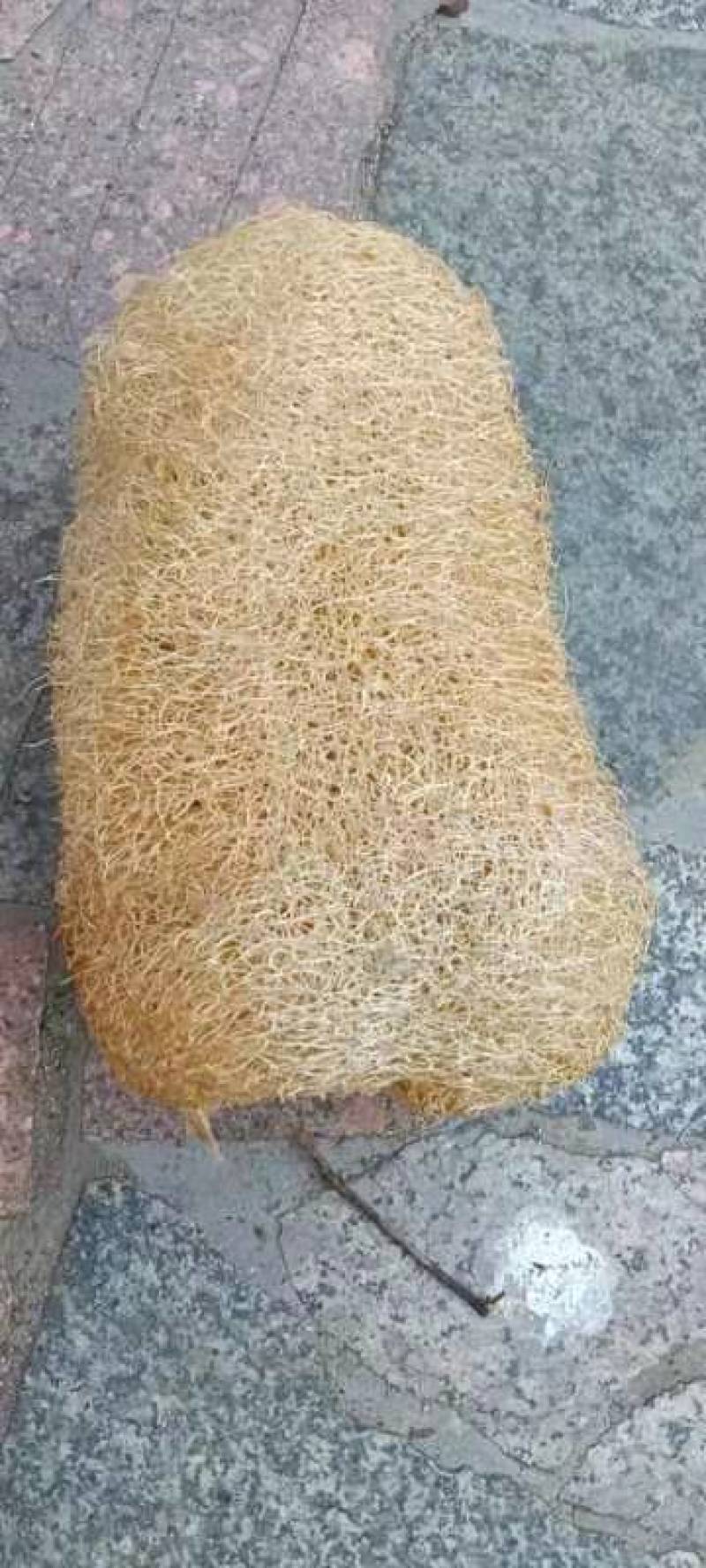 丝瓜络供应