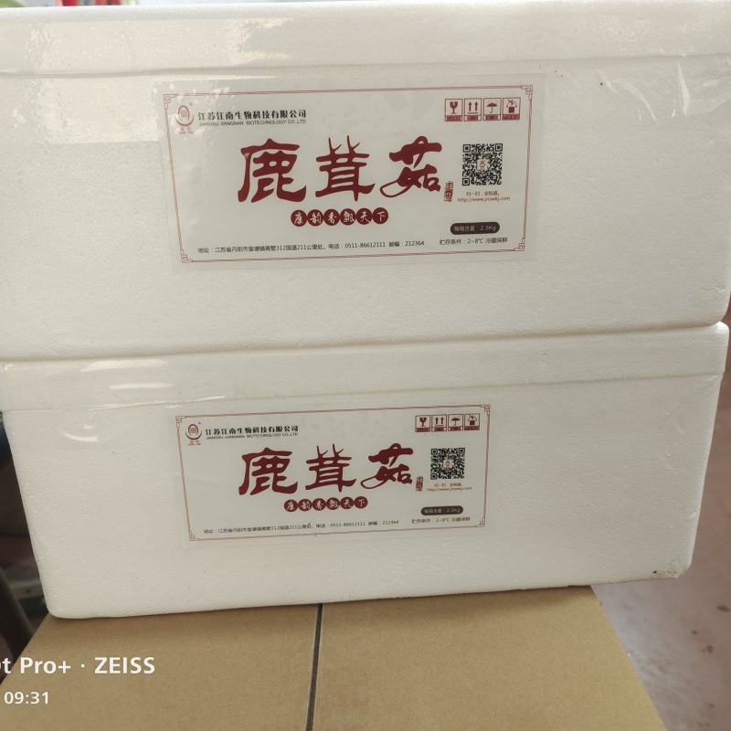 工厂化鲜草菇，厂里直供，物美价廉，量大从优，