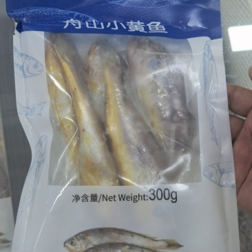 舟山正宗冷冻小黄鱼净含量300G，可供电商社区团购