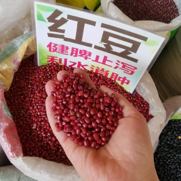 红豆