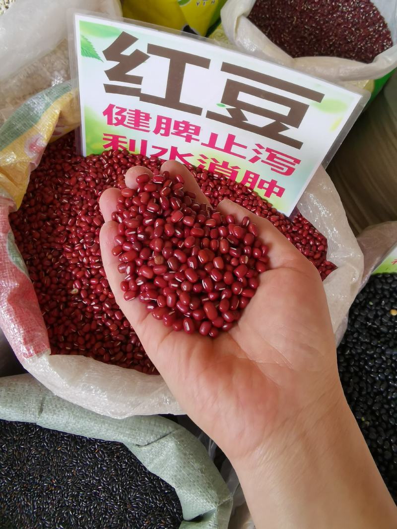 红豆