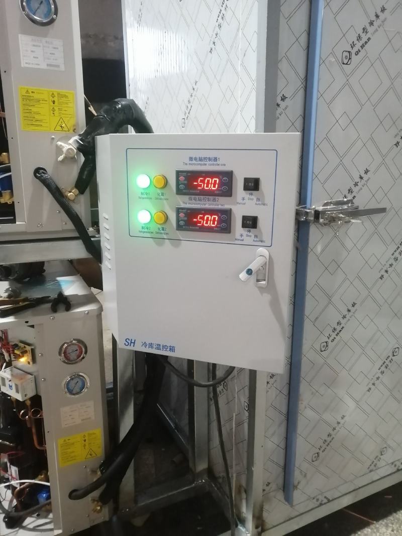 定制小冷库移动冷库速冻库