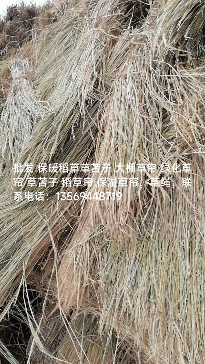 草苫，大量批发各种草苫，欢迎定购。批发保暖稻草草苫子