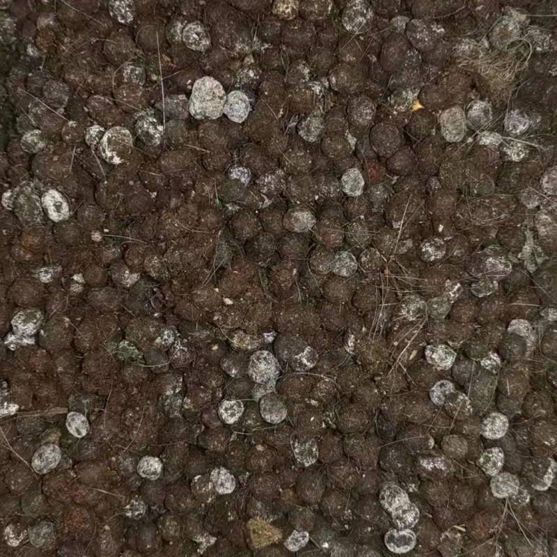纯羊粪添加微生物发酵适合蔬菜水果药材等各种植物