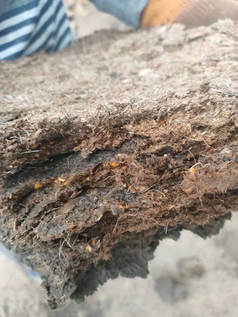 纯羊粪添加微生物发酵适合蔬菜水果药材等各种植物