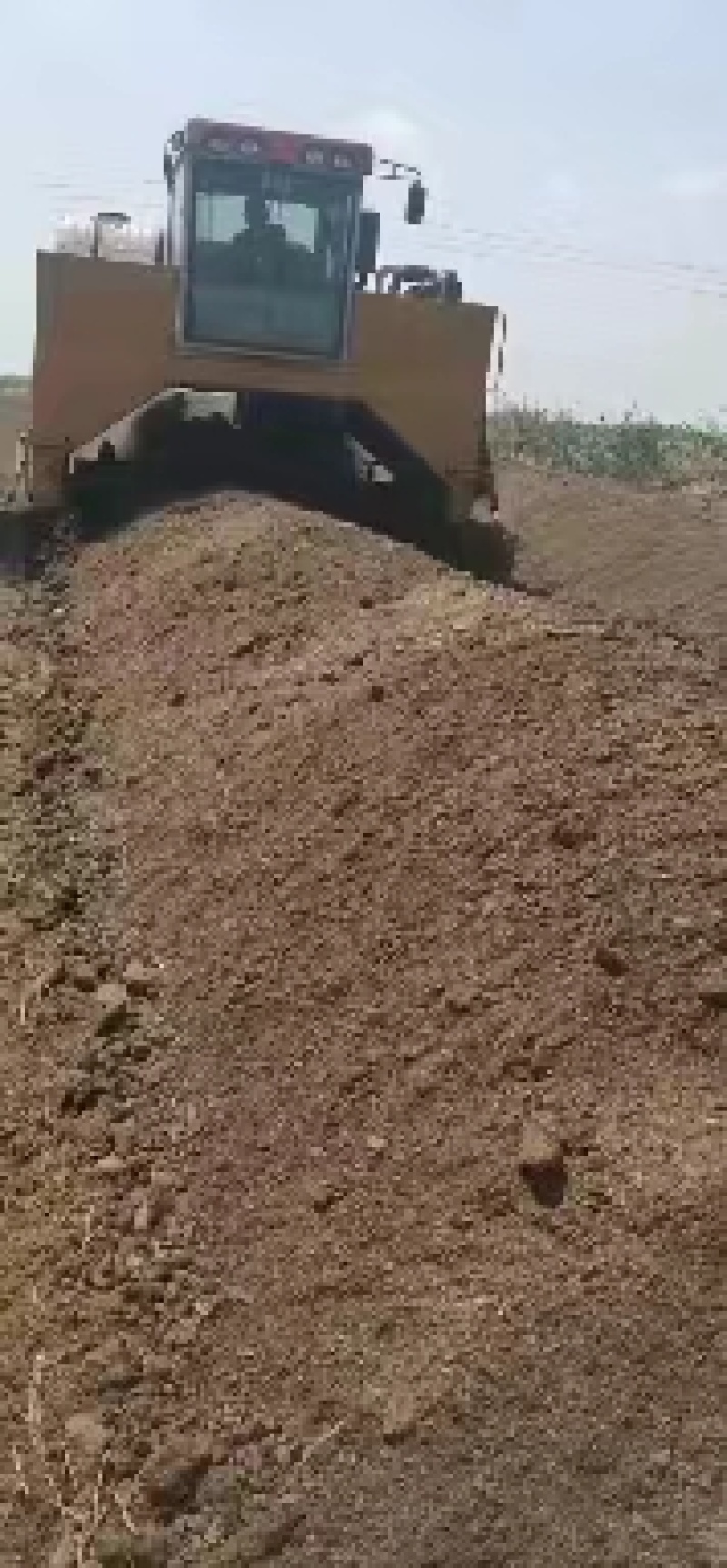 纯羊粪添加微生物发酵适合蔬菜水果药材等各种植物
