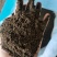 纯羊粪添加微生物发酵适合蔬菜水果药材等各种植物