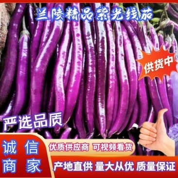 紫光线茄，全国发货质量保证，量大质优，提供各种包装
