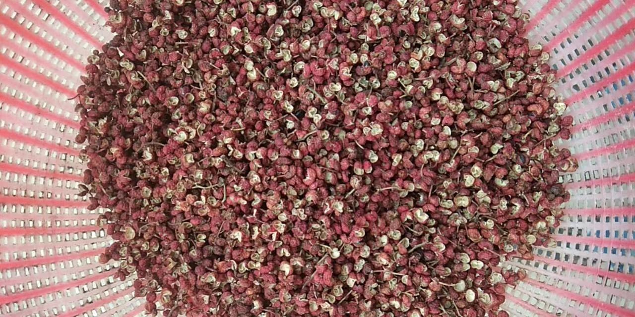 花椒泡脚过程图