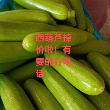 无丝豆
