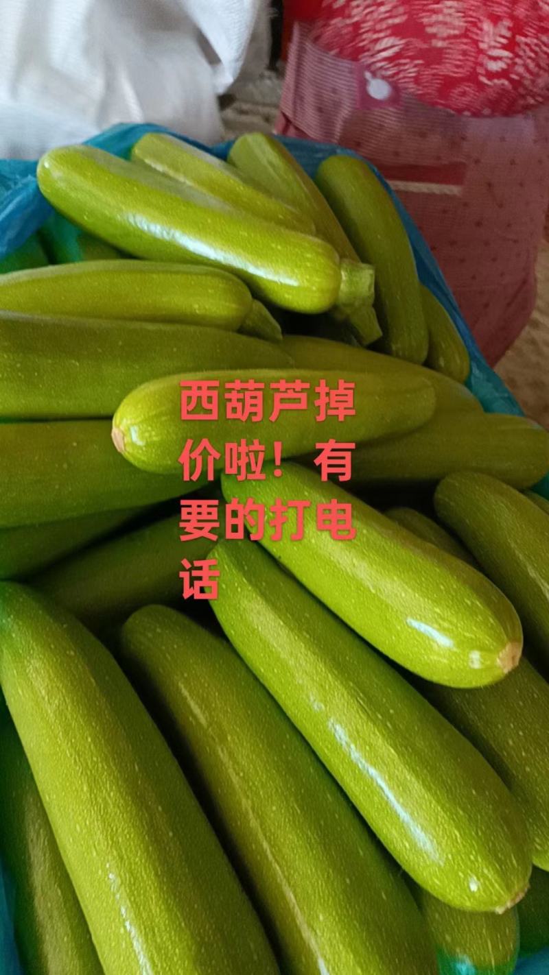 无丝豆