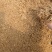 玉米渣适合牛羊猪等蛋白12个酒糟渣蛋白18个