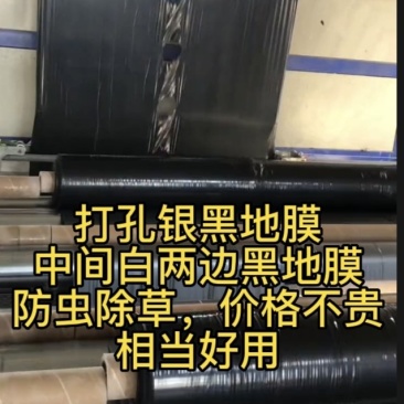 打孔地膜，白加银黑地膜定制，除草防虫，价格不贵