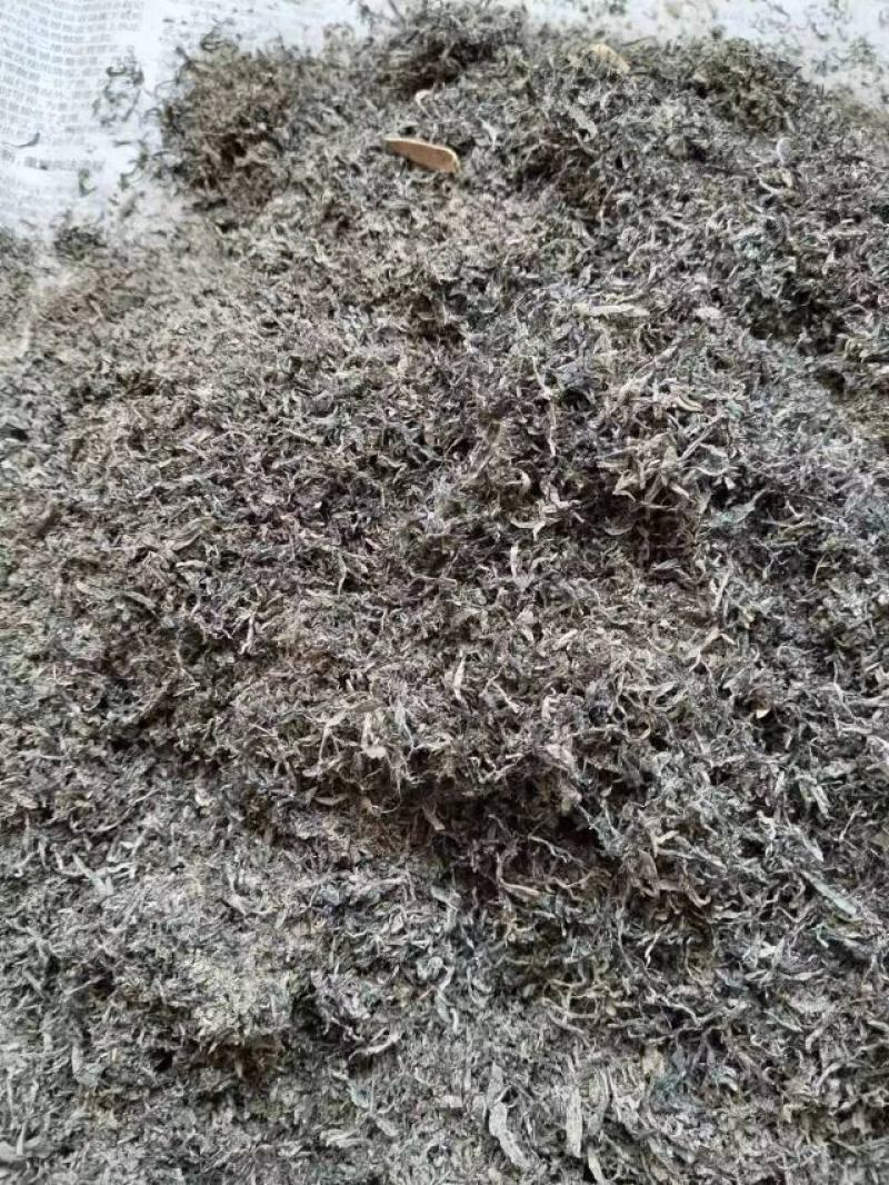葵花壳粉，榨油油葵副产品，水份仅为7%，价格低