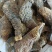 肉苁蓉，软大云，阿拉善肉苁蓉个，片，中药材批发