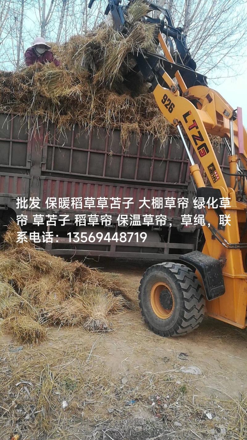 批发保暖稻草草苫子大棚草帘绿化草帘草苫子稻草帘