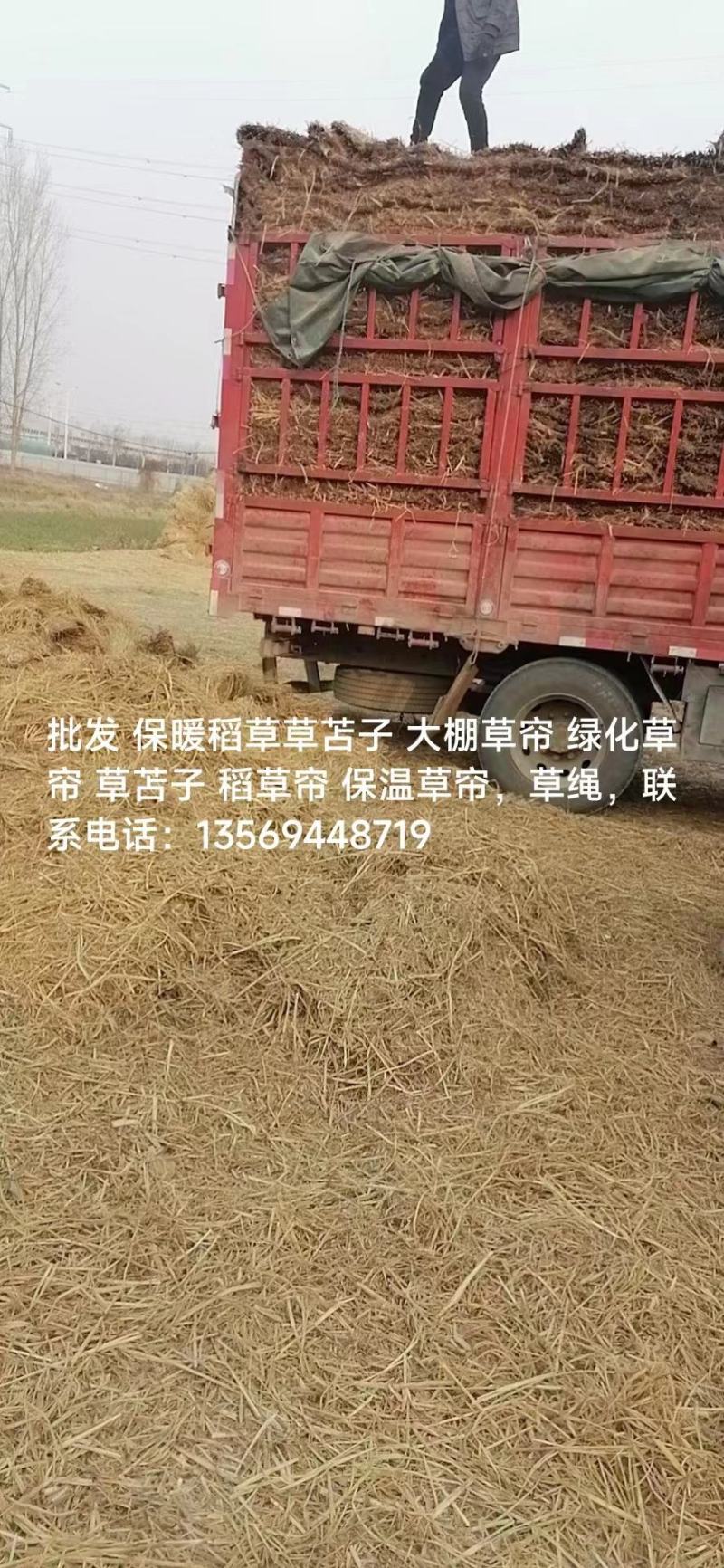 批发保暖稻草草苫子大棚草帘绿化草帘草苫子稻草帘