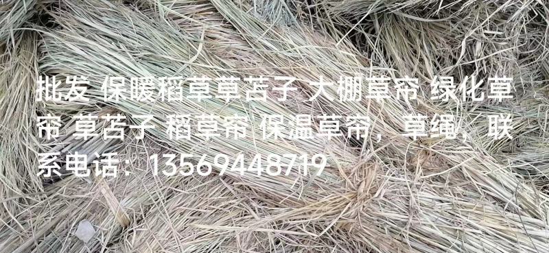 批发保暖稻草草苫子大棚草帘绿化草帘草苫子稻草帘
