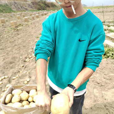 新土豆，黄皮，黄心