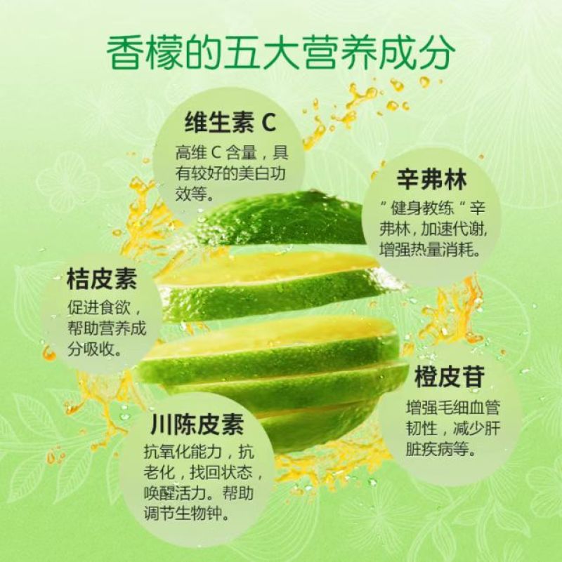 台湾绿宝石香柠，新品种千亩种植园