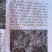 白芷种子中药材种子纯新包发芽提供种植技术价格上涨
