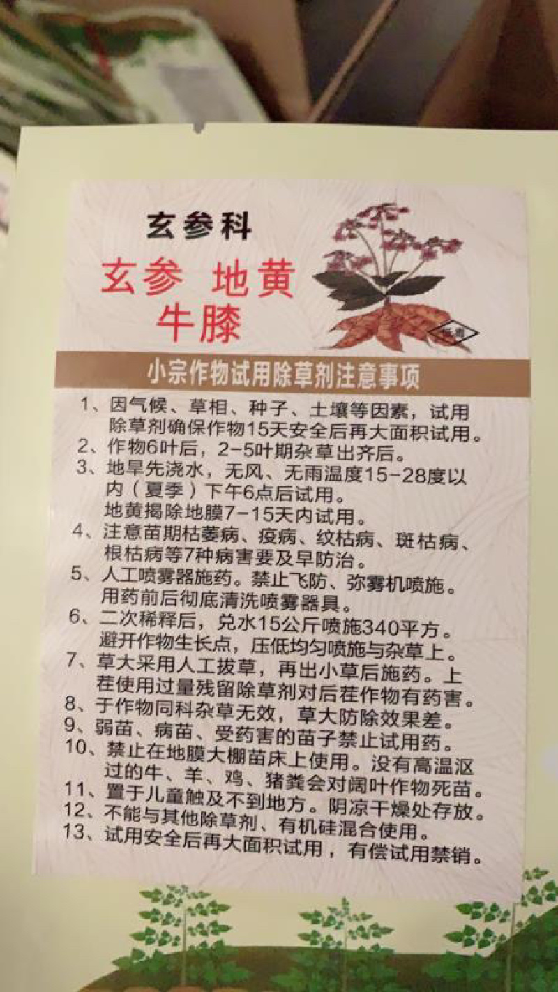 枸杞苗韩国苗一年生亩用700棵可快递物流