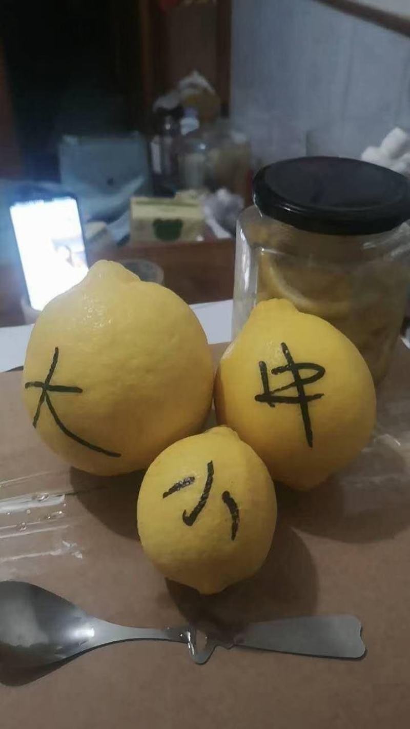 四川安岳尤力克柠檬，长年供应，欢迎来电，量大从优