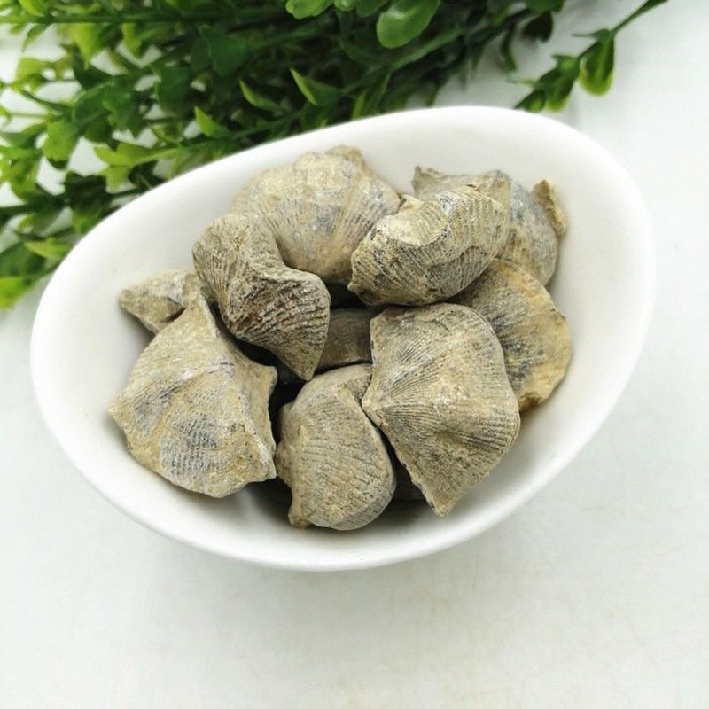 石燕干货燕子石矿石类中药材欢迎选购！