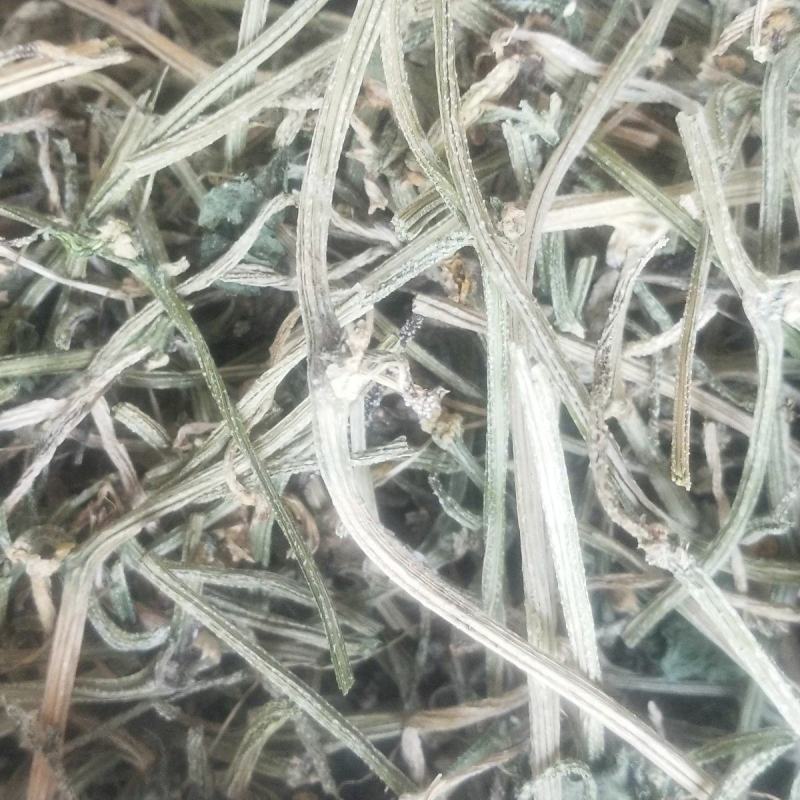黄瓜藤干货黄瓜藤中药材欢迎选购！量大从优！