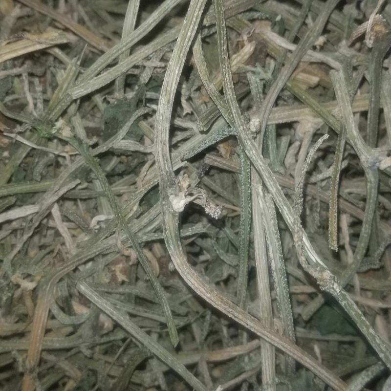 黄瓜藤干货黄瓜藤中药材欢迎选购！量大从优！