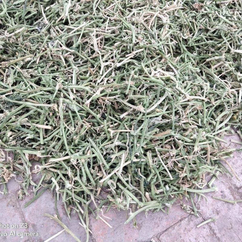 黄瓜藤干货黄瓜藤中药材欢迎选购！量大从优！