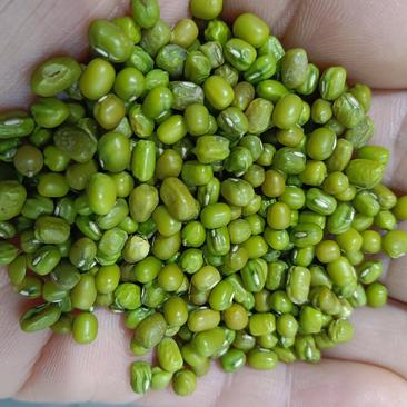 海华农产品特价绿豆