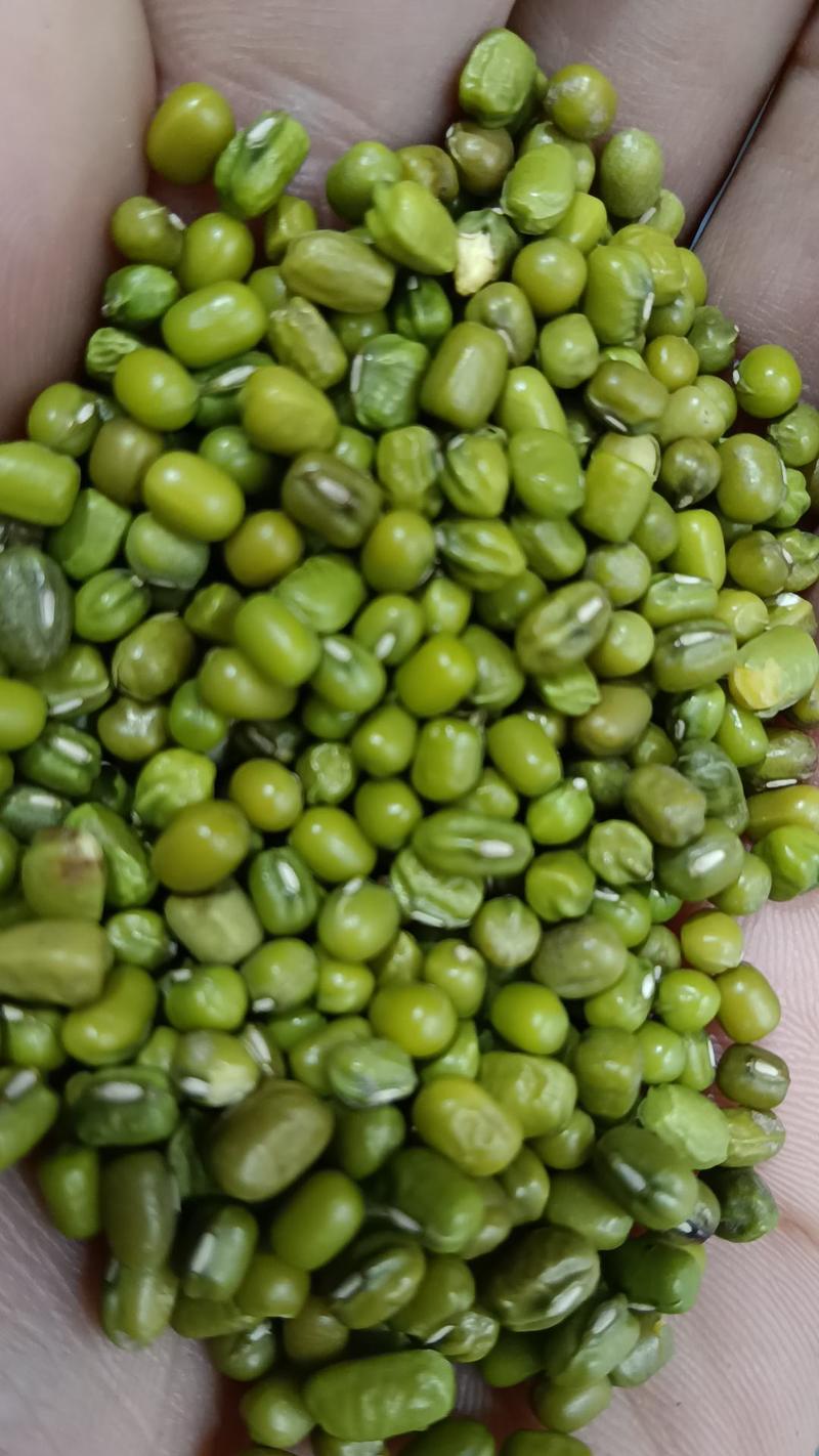 海华农产品特价绿豆