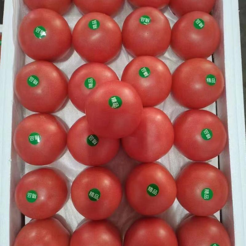 硬粉西红柿，量大，果型好，有亮度，弧三以上。