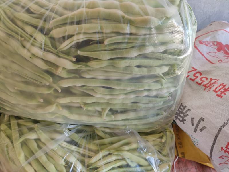 山东丽园蔬菜批发市场，常年出售，大棚西红柿，西葫芦，芸豆