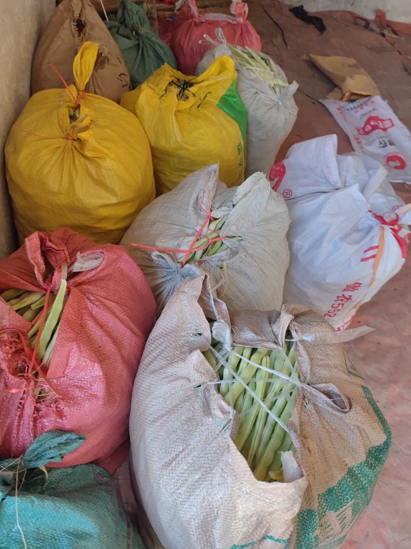 山东丽园蔬菜批发市场，常年出售，大棚西红柿，西葫芦，芸豆