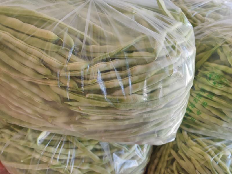山东丽园蔬菜批发市场，常年出售，大棚西红柿，西葫芦，芸豆