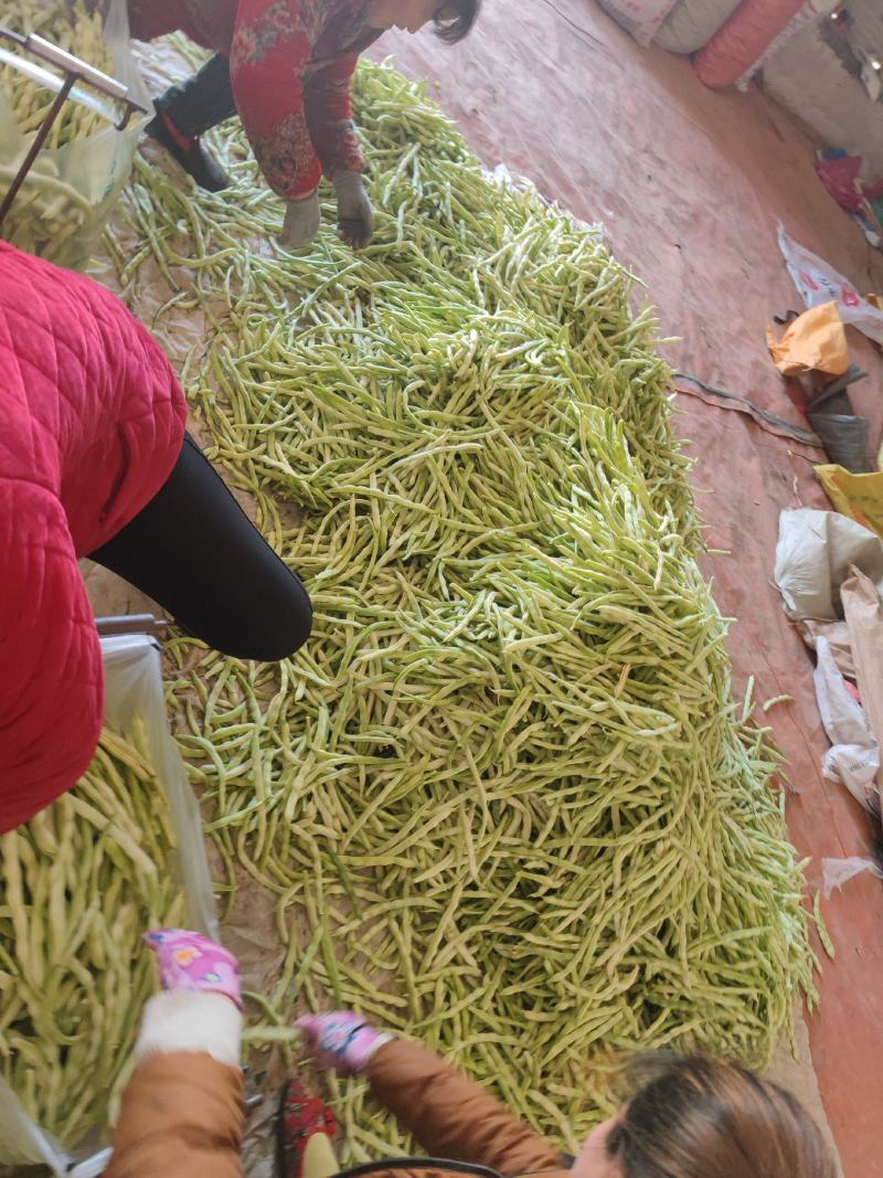 山东丽园蔬菜批发市场，常年出售，大棚西红柿，西葫芦，芸豆