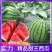 【好货实力推荐】云南甜王西瓜量大从优头茬精品欢迎致电