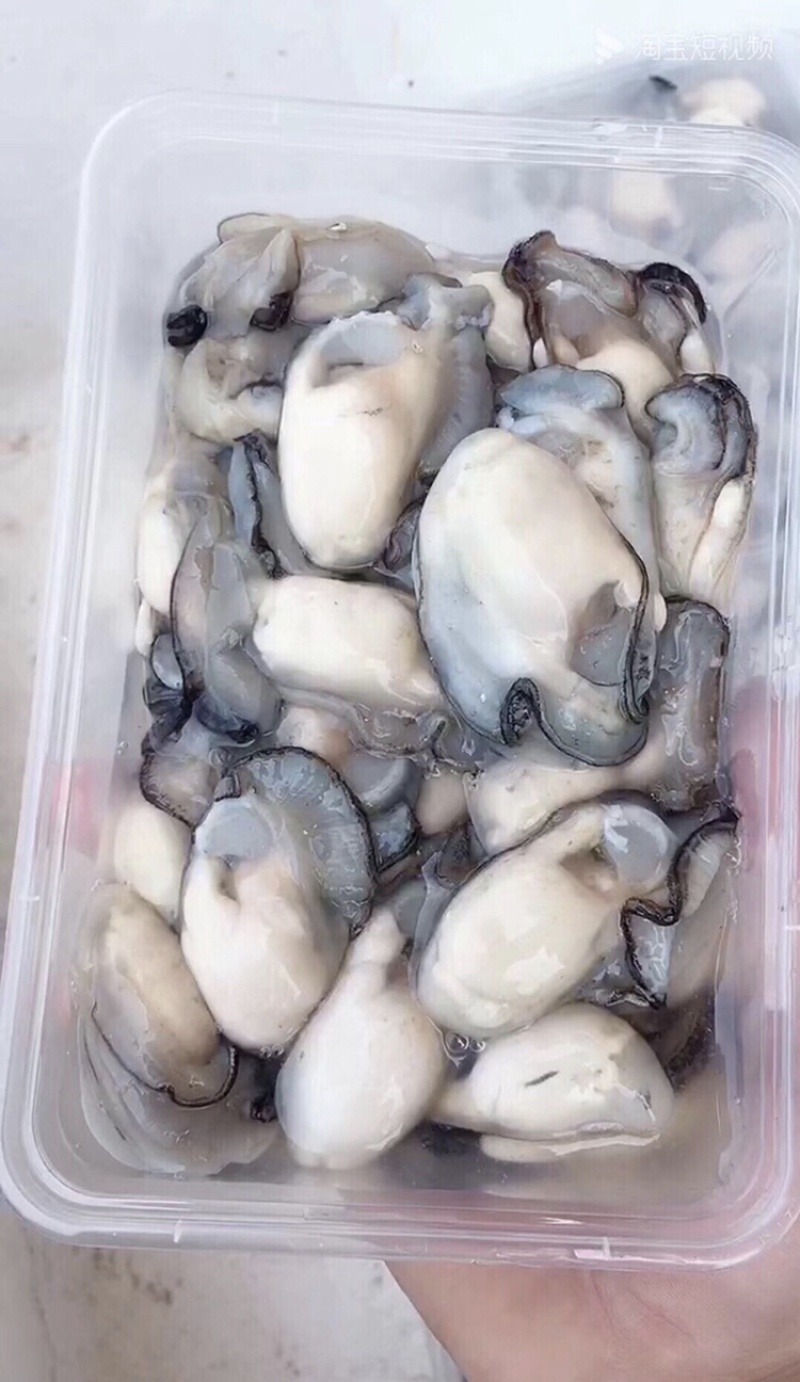 生蚝肉鲜活现剥去壳大生蚝新鲜蚝肉肥美产地批发量大从优